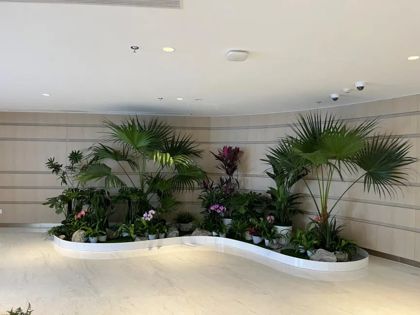 解读宁波北仑绿化养护方案，开启绿色新篇章